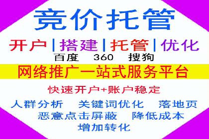 某电商平台的SEM竞价专员成功案例分享